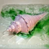 pointy shell white20
