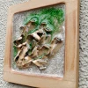 seaweed white9